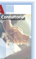 Consultor&iacute;a